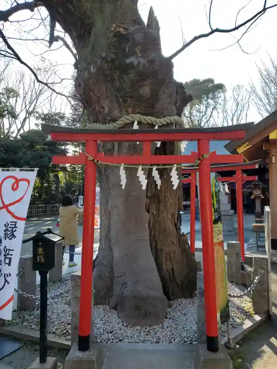 新田神社の鳥居