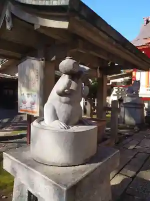戸部杉山神社の狛犬