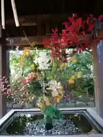 赤坂氷川神社(東京都)