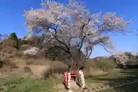 宇賀神さまの景色