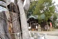 阿邪訶根神社の建物その他