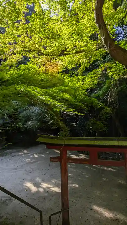 白山神社(京都府)