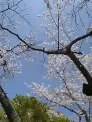 龍泉寺(大阪府)