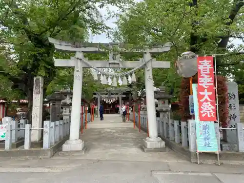 駒形神社(群馬県)