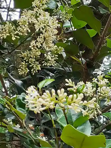 伏木香取神社の自然