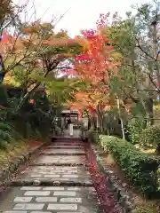 化野念仏寺(京都府)