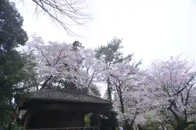 岩槻久伊豆神社(埼玉県)