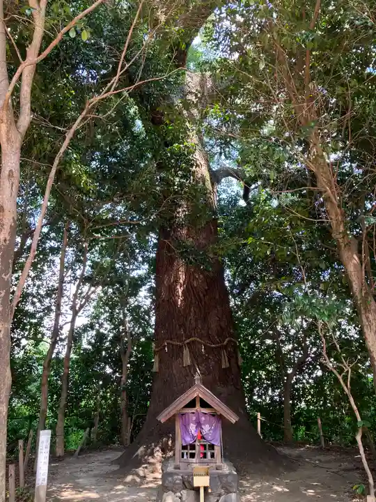 雙栗神社(京都府)