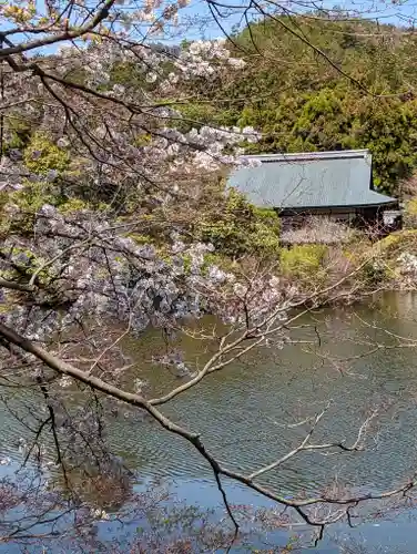 龍安寺(京都府)