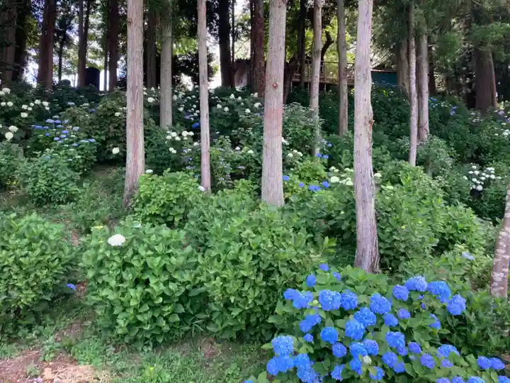 竹原神社(茨城県)