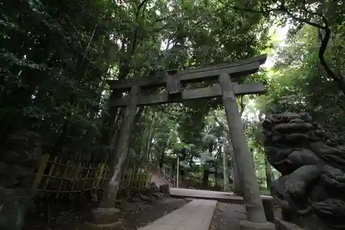 渋谷氷川神社(東京都)