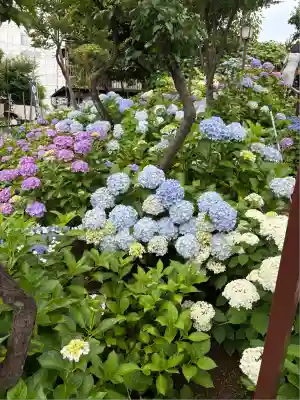 白山神社(東京都)