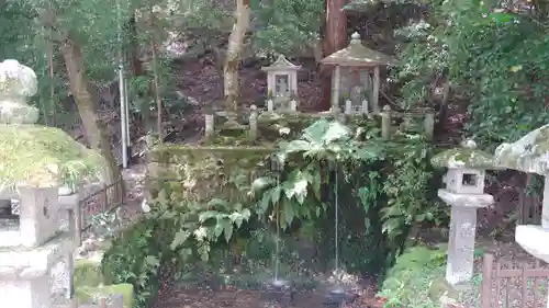 大雲寺（岩倉観音）の庭園