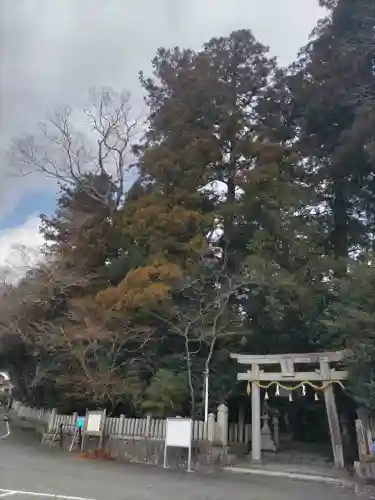 庭田神社の{uncategorized: "未分類", other: "その他", undefined: "問題あり", building: "その他建物", grave: "お墓", sacred_gate: "鳥居", guardian: "狛犬", statue: "像", buddha: "仏像", history: "歴史", nature: "自然", garden: "庭園", animal: "動物", pagoda: "塔", temizu: "手水舎", mountain_gate: "山門・神門", sanctuary: "本殿・本堂", subordinate: "末社・摂社", art: "芸術", scenery: "景色", jizo: "地蔵", ema: "絵馬", goshuin: "御朱印", omikuji: "おみくじ", items: "授与品その他", amulet: "お守り", goshuincho: "御朱印帳", eats: "食事", festival: "お祭り", votive_dance: "神楽", shichigosan: "七五三参", wedding: "結婚式", experience: "体験その他", initially: "初詣", around: "周辺", anti_infection: "感染症対策"}
