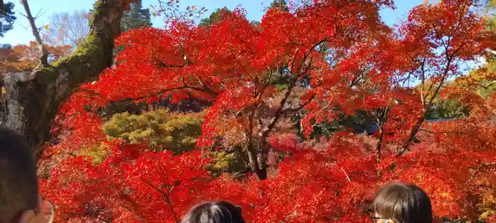 東福禅寺(東福寺)(京都府)