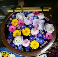 多賀神社の手水舎