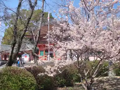 富士山本宮浅間大社(静岡県)