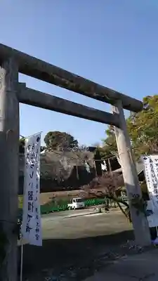 熊本大神宮の鳥居