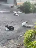 浄瑠璃寺の動物