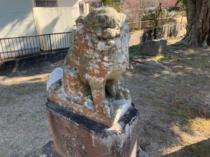 熊野神社の狛犬