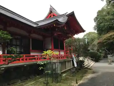 近江神宮の本殿・本堂