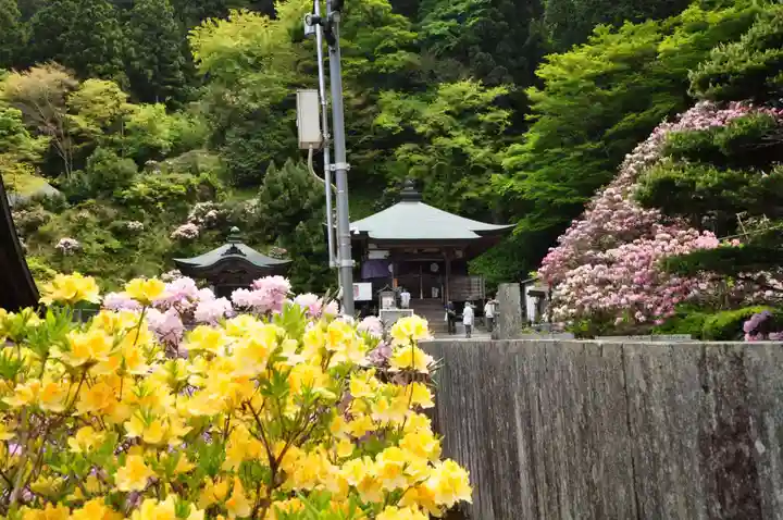 横峰寺(愛媛県)