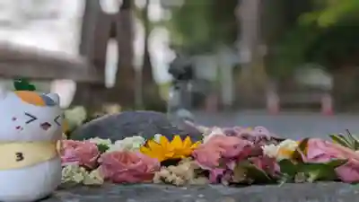 飛龍八幡宮の手水舎