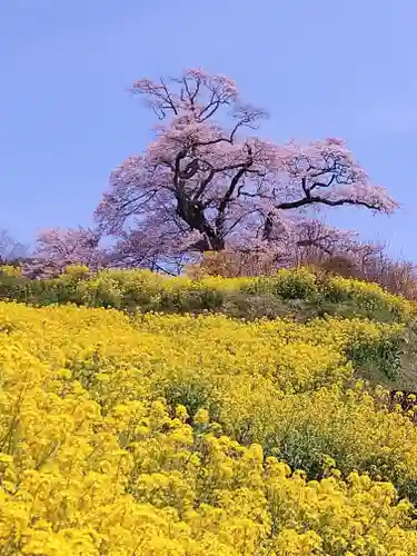 阿邪訶根神社(福島県)