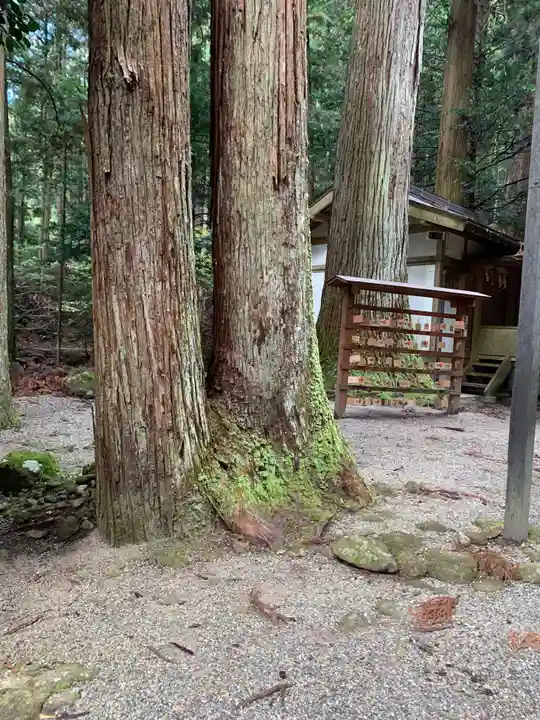室生龍穴神社の自然