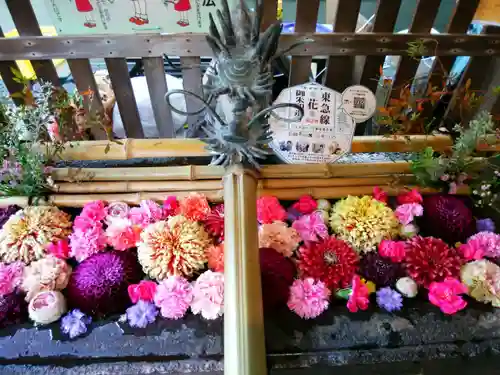 戸越八幡神社(東京都)