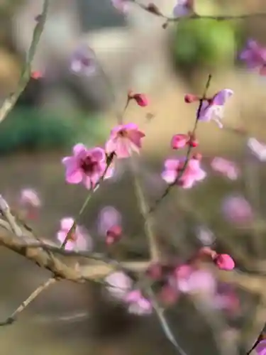 葛原岡神社(神奈川県)