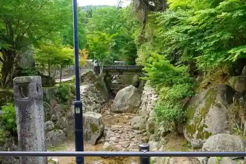 粟島神社の自然