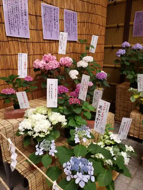 十番稲荷神社のその他建物