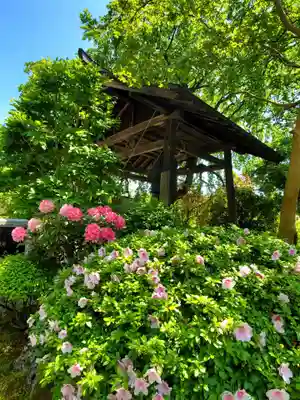 長命寺(福島県)