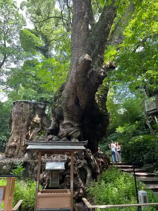 來宮神社(静岡県)