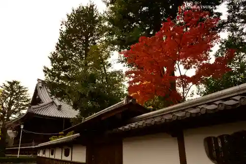 寛永寺(根本中堂)のその他建物