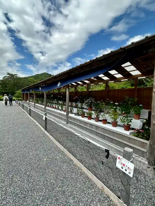 伊勢神宮内宮(皇大神宮)(三重県)