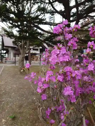 北広島市総鎮守　廣島神社の自然