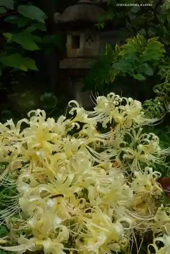 宝蔵院(東京都)