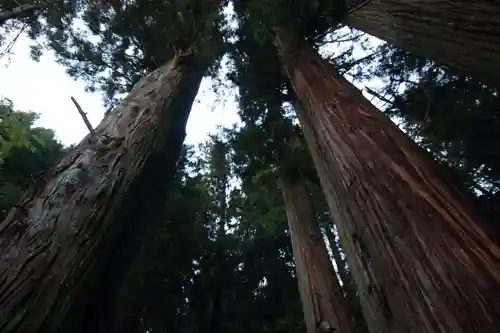 鹿島大神宮の自然