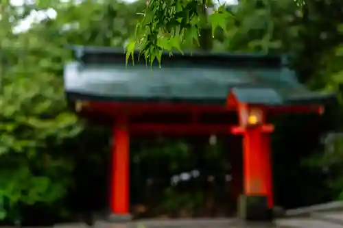 枚聞神社(鹿児島県)