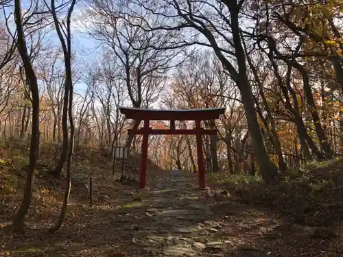 赤神神社の鳥居