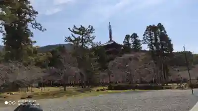 醍醐寺のその他建物