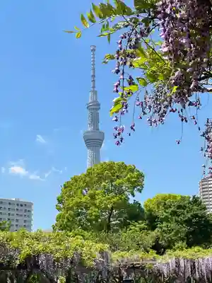 亀戸天神社(東京都)