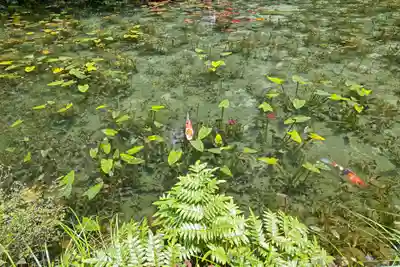 根道神社(岐阜県)