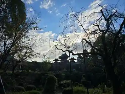 平安神宮(京都府)