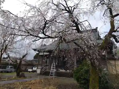 中戸山 西光院 常敬寺(新潟県)