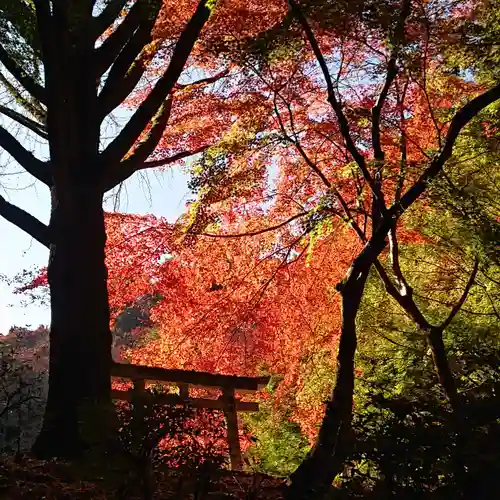 延命寺の鳥居