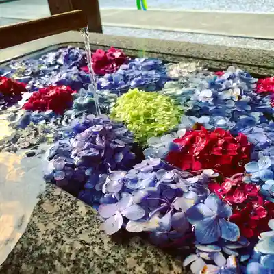 滑川神社 - 仕事と子どもの守り神の手水舎