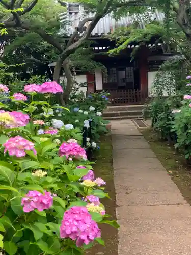 本土寺(千葉県)